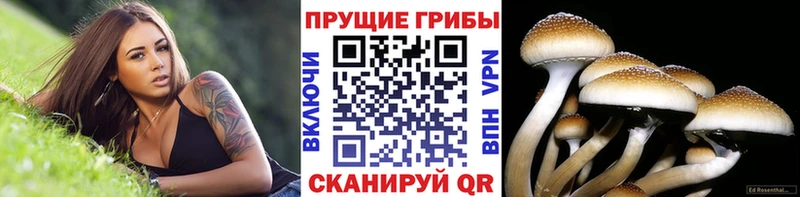 Галлюциногенные грибы MAGIC MUSHROOMS  Рассказово 