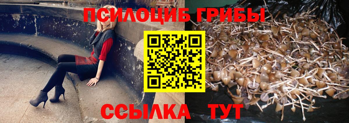 Рассказово  Псилоцибиновые грибы Magic Shrooms  Вход с VPN 