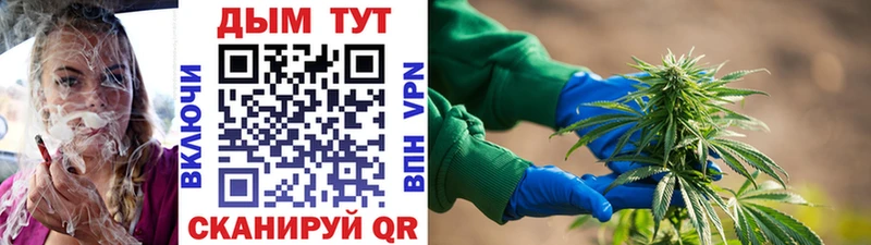 Бошки марихуана конопля  блэк спрут ССЫЛКА  Рассказово 